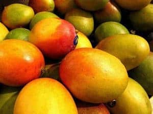 african mango fruit