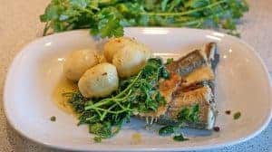1. fish on a plate with vegetables