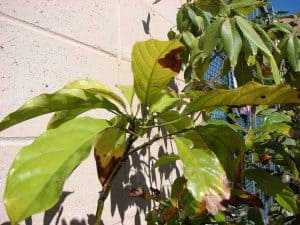 24902077255 d9997d1985 z 300x225 1