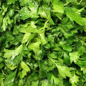 parsley