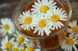 Chamomile flowers in a glass