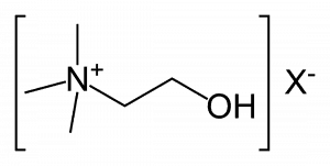 Choline chemical compound