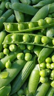 Green pea pods