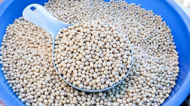 A bowl of soybeans