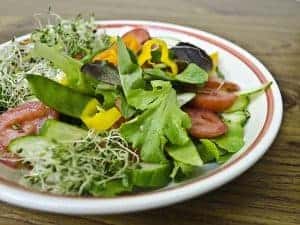 vegetable salad on a plate