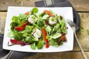 Vegetable salad on a plate