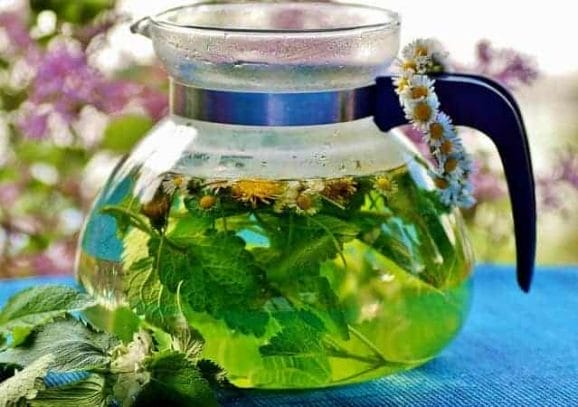herbal tea in a pot