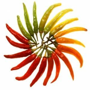 chilli peppers arranged in a star