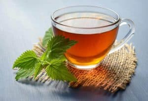 A cup of lemon balm infusion