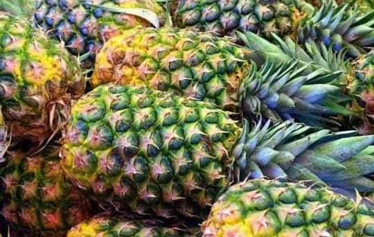 Fresh pineapple fruit