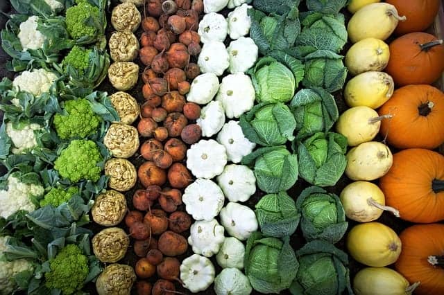 vegetables arranged in rows