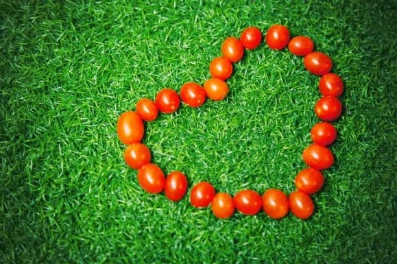 Tomatoes arranged in a heart on the grass
