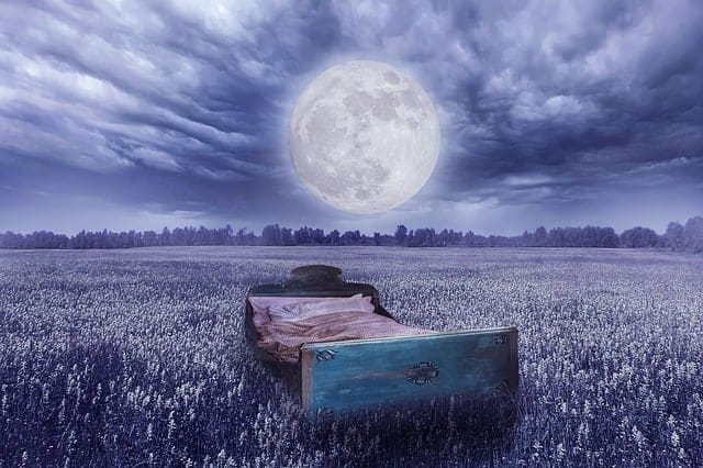dream reality - a bed in a meadow, the full moon