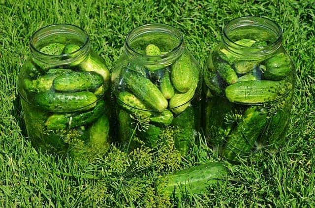 three jars of pickled cucumbers