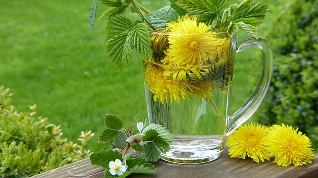herbs in a jug