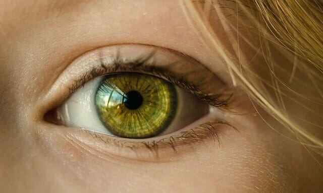 The female eye