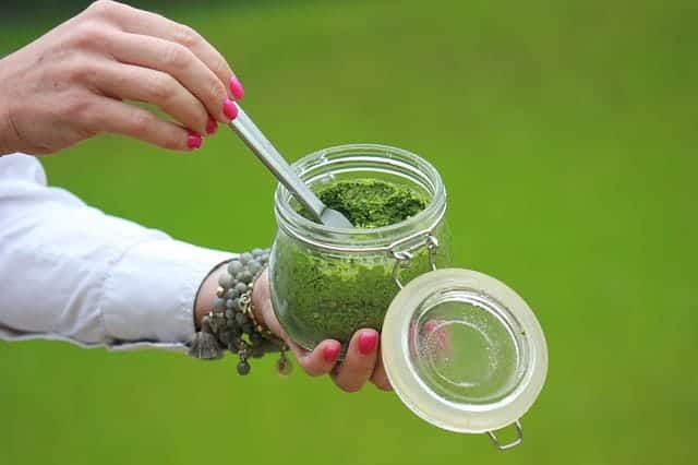 herbs in a jar