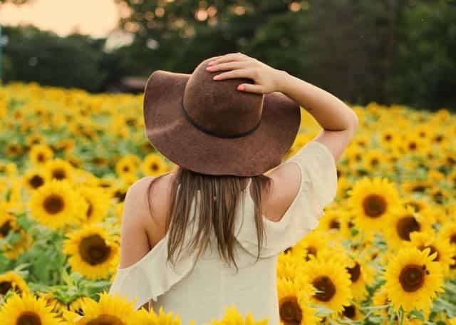 a woman walks through a field of sunflowers