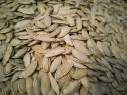 Dried pumpkin seeds