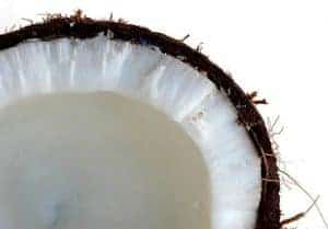shredded coconut
