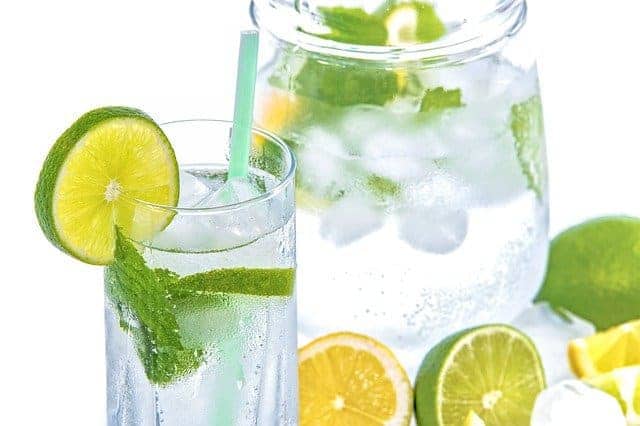 Water with lemon, lime and ice