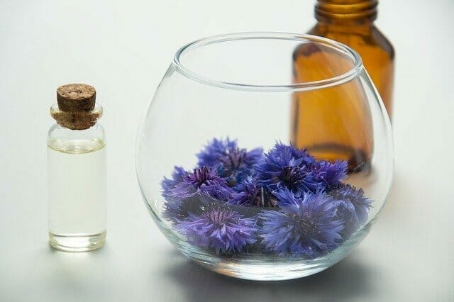 Cornflowers lie in a bowl, next to it flacons with flower extracts