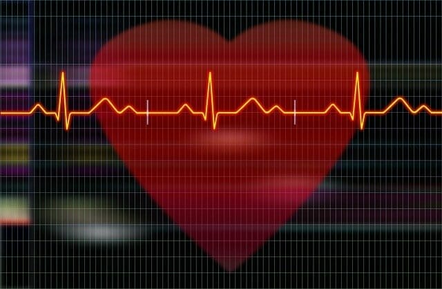  Graphic showing the heart and electrocardiograph recordings