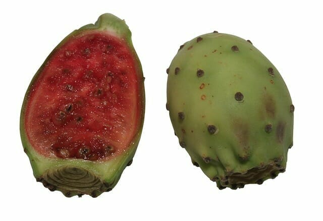  Prickly pear fruit cut in half