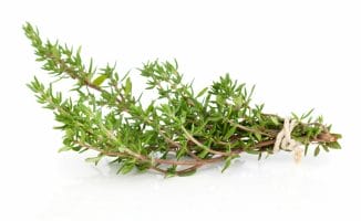 thyme