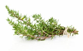  thyme