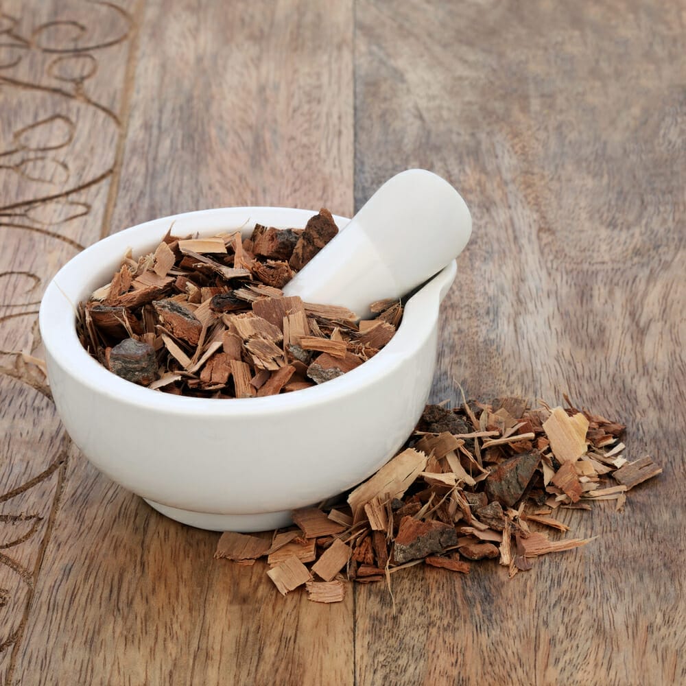 dried sabal palm