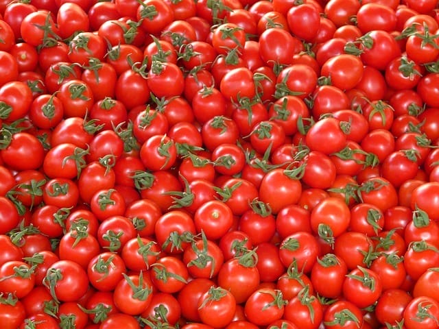  Tomatoes