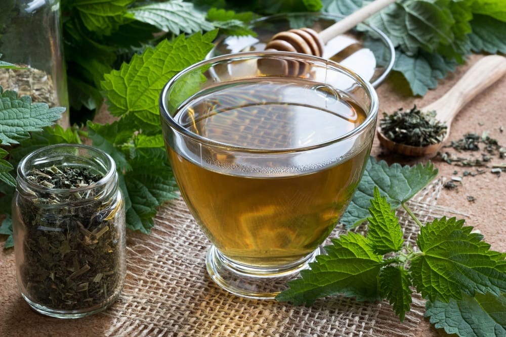  Herbal infusion in a glass, next to fresh nettle and a jar of herbs