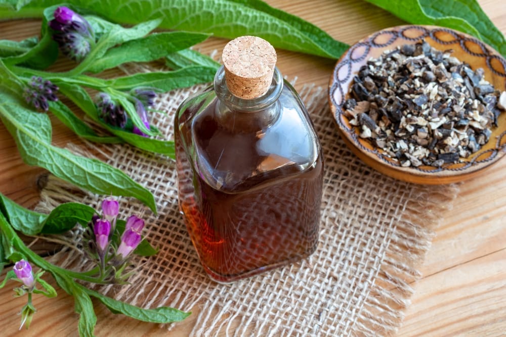  A flacon of herbal tincture, alongside fresh and dried herbs