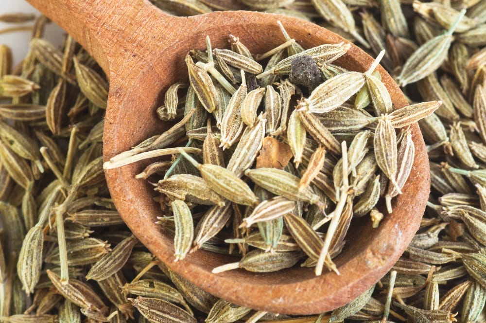 fennel seeds