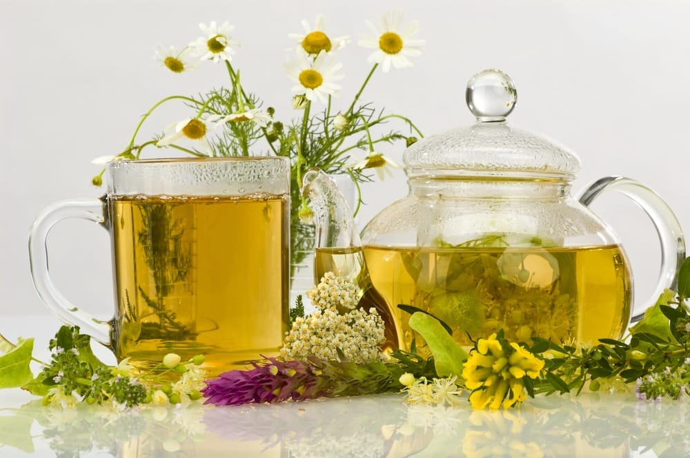 Herbal tea in a pot and in a glass, alongside fresh herbs