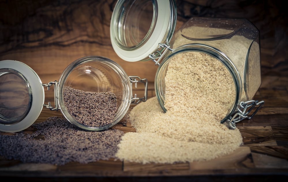 Psyllium plantain and egg plantain